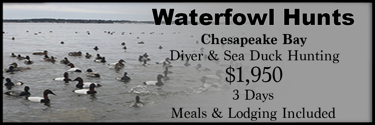 Talbot County Outfitters — photo 3