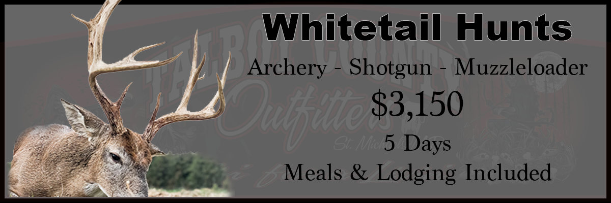 Talbot County Outfitters — photo 2